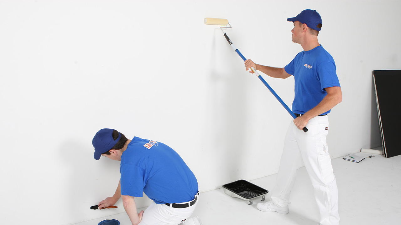 Çınar Boya Badanacı